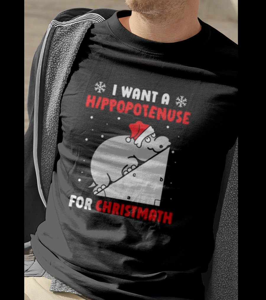 I Want A Hippopotenuse For Christmath Santa Hippo Geometry T-Shirt
