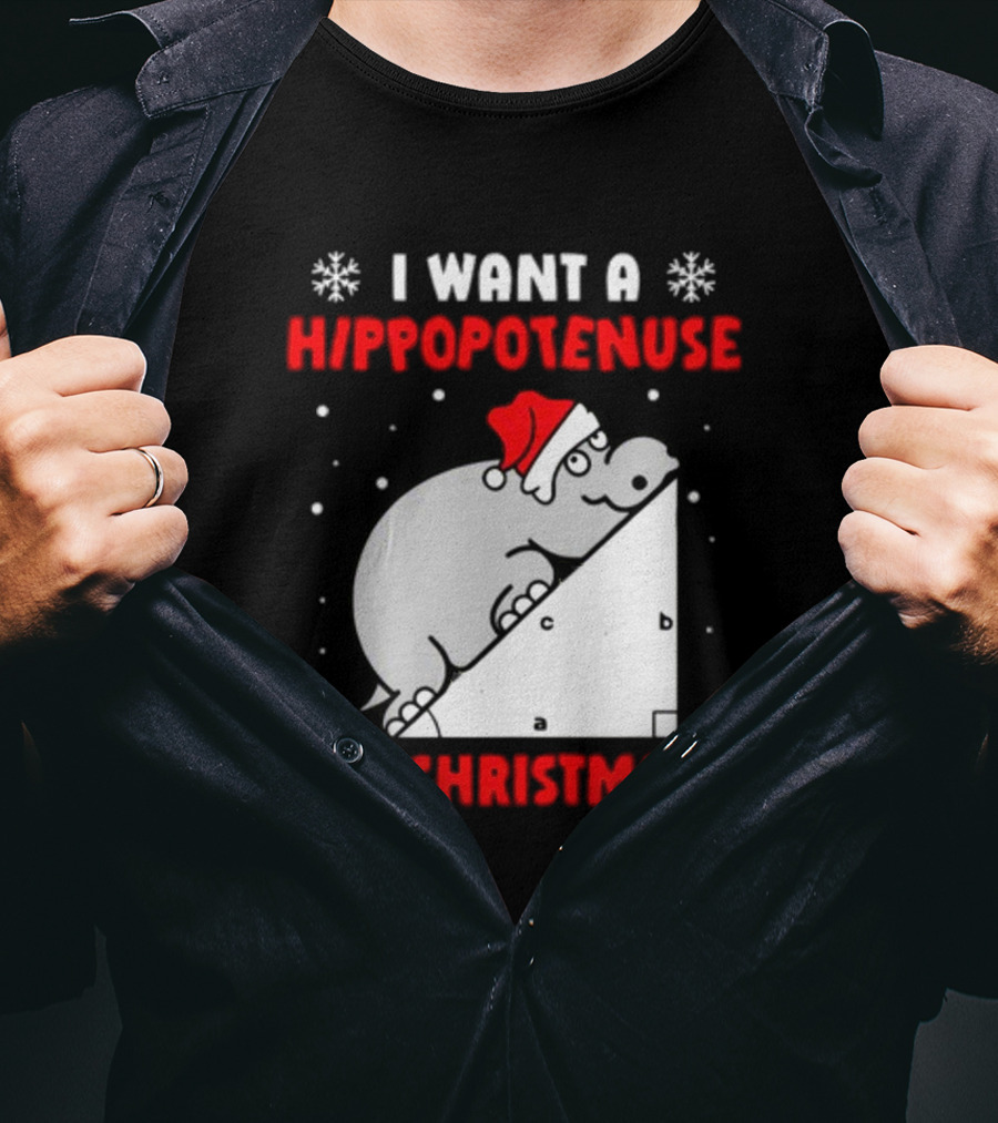 I Want A Hippopotenuse For Christmath Santa Hippo Geometry T-Shirt
