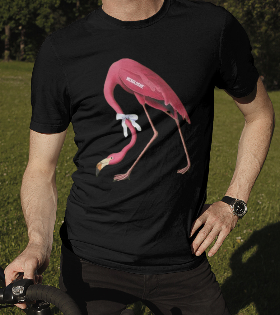 Mixoloshe Flamingo Team Crewneck T-Shirt