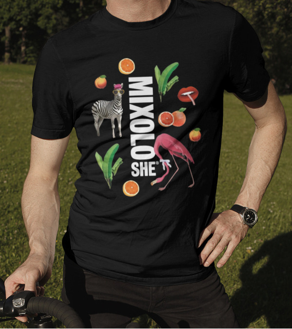 Mixoloshe Zebra Flamingo Lips With Fruits And Leaves T-Shirt