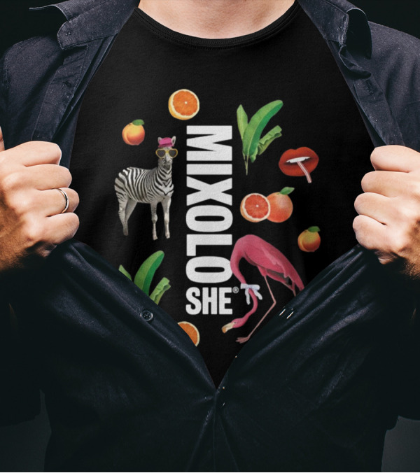 Mixoloshe Zebra Flamingo Lips With Fruits And Leaves T-Shirt