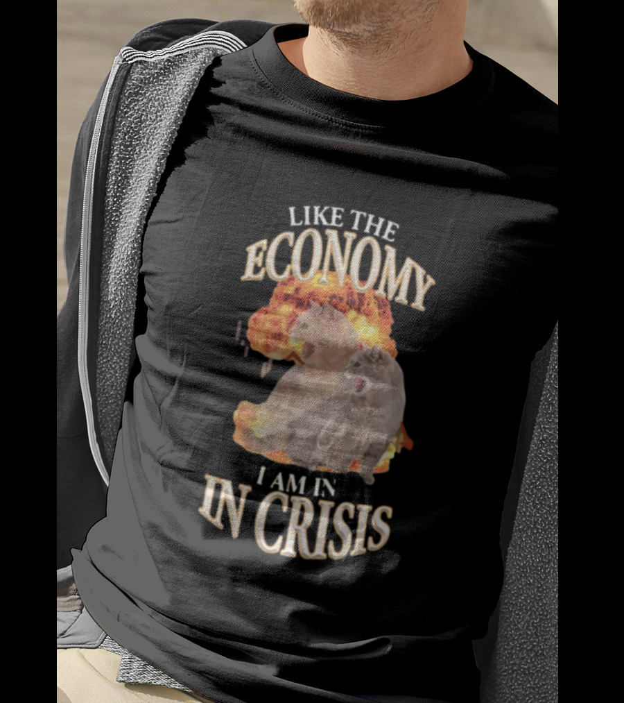 Like The Economy I Am IN Crisis Cat Explosion T-Shirt