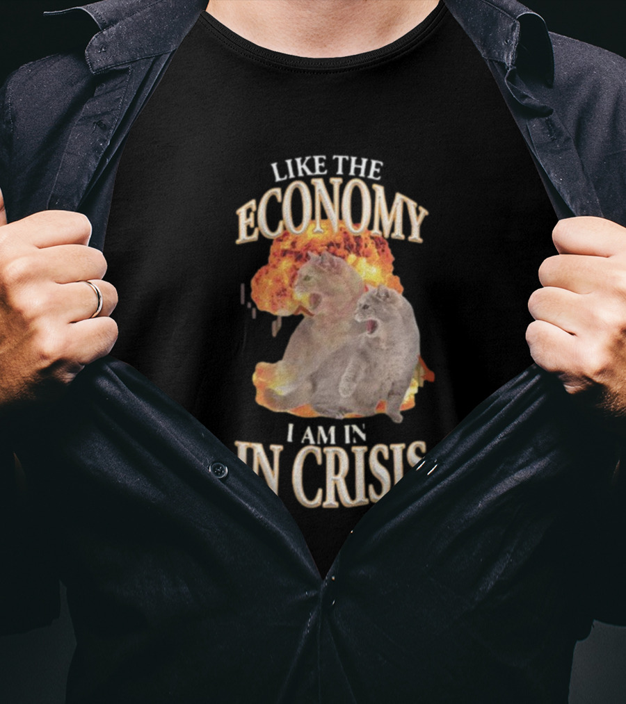 Like The Economy I Am IN Crisis Cat Explosion T-Shirt