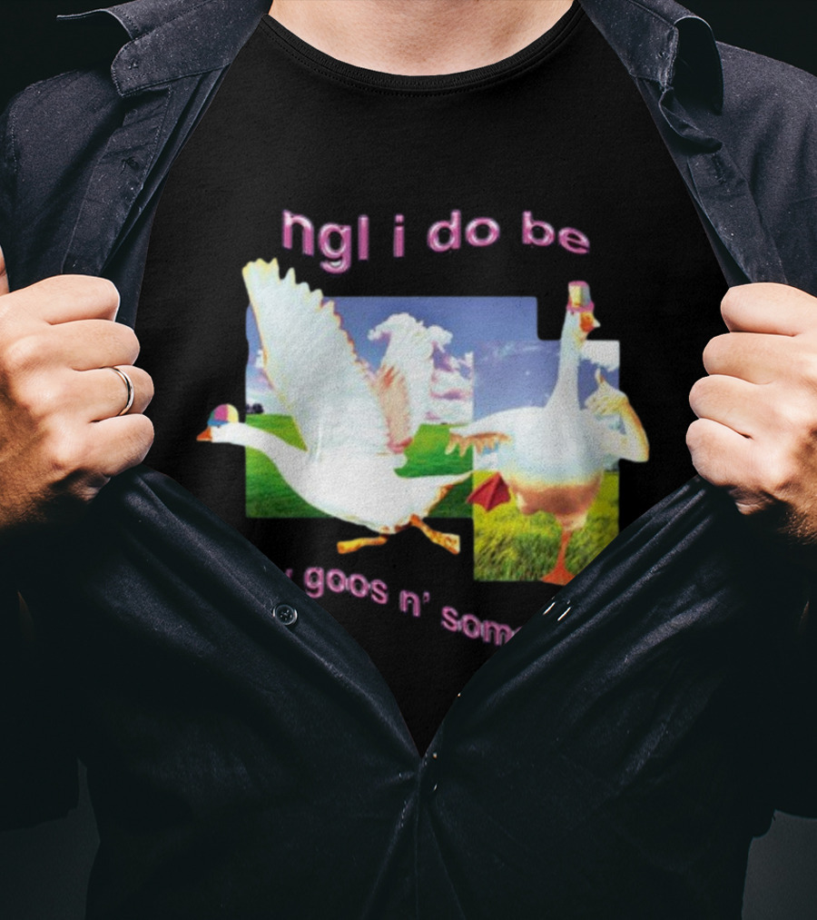Ngl I Do Be Silly Goosin' Sometimes Goose Humor Fun Playful T-Shirt