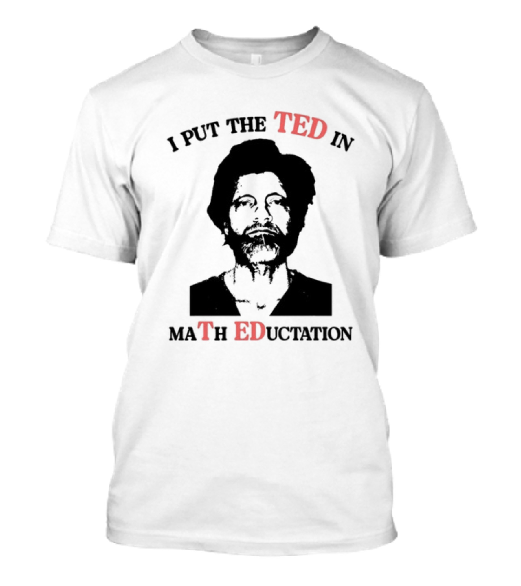 I Put The Ted IN Math Education T-Shirt
