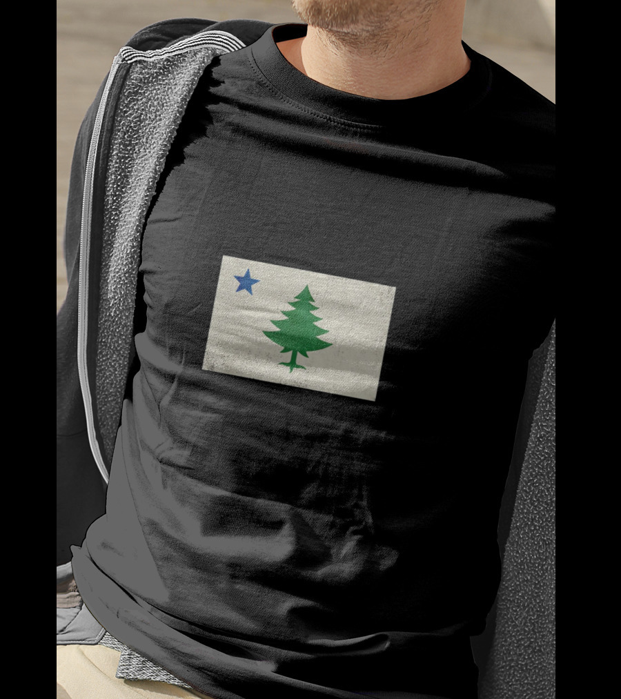 Maine Flag Vintage Pine Tree Star T-Shirt