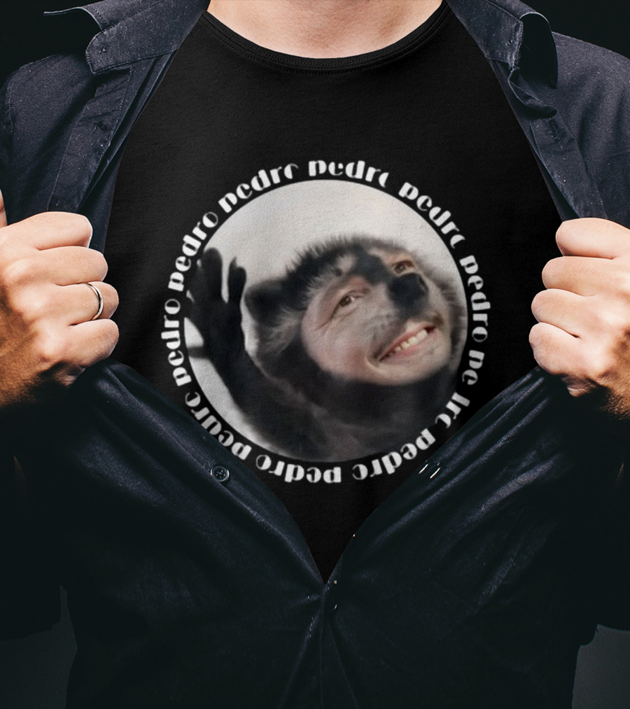 Theironycloset Pedro Raccoon Face Circle T-Shirt
