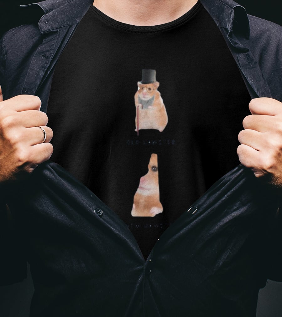 Old Hamster New Hamster New Hampshire State Shape T-Shirt