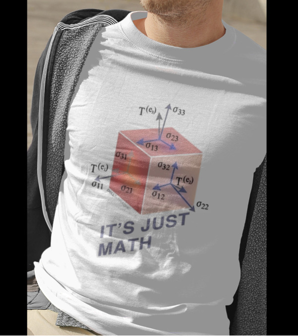 Jeff Clarke Wearing It's Just Math Physics Cube Tensor Notation T-Shirt