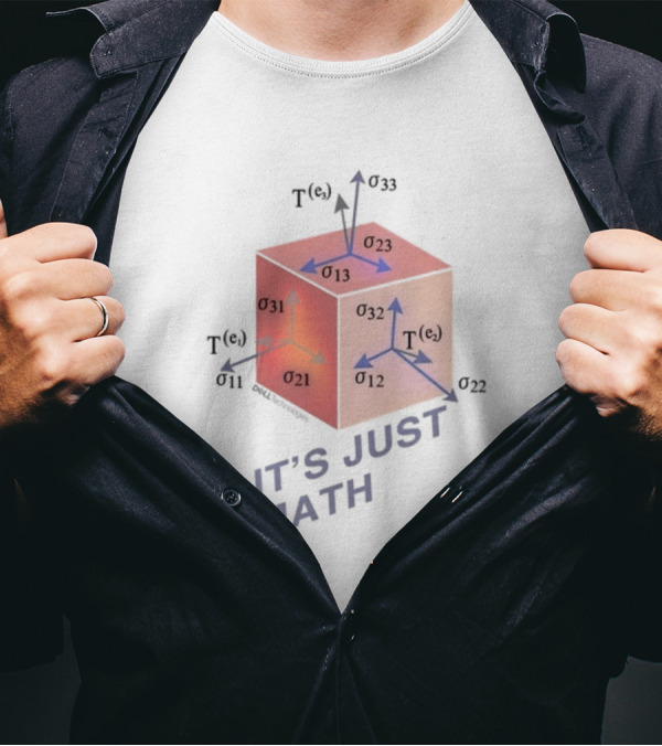 Jeff Clarke Wearing It's Just Math Physics Cube Tensor Notation T-Shirt