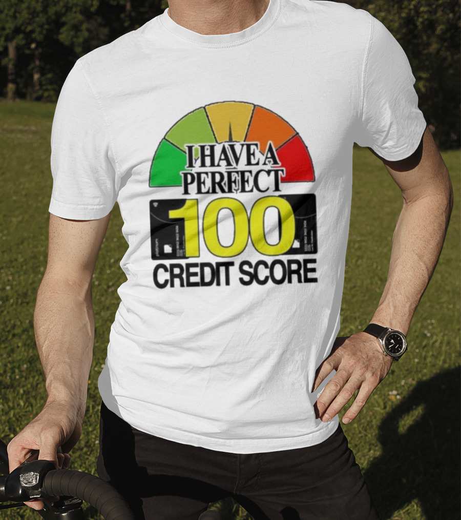 I Have A Perfect 100 Credit Score Gauge Graph T-Shirt