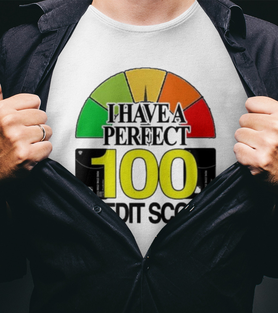 I Have A Perfect 100 Credit Score Gauge Graph T-Shirt