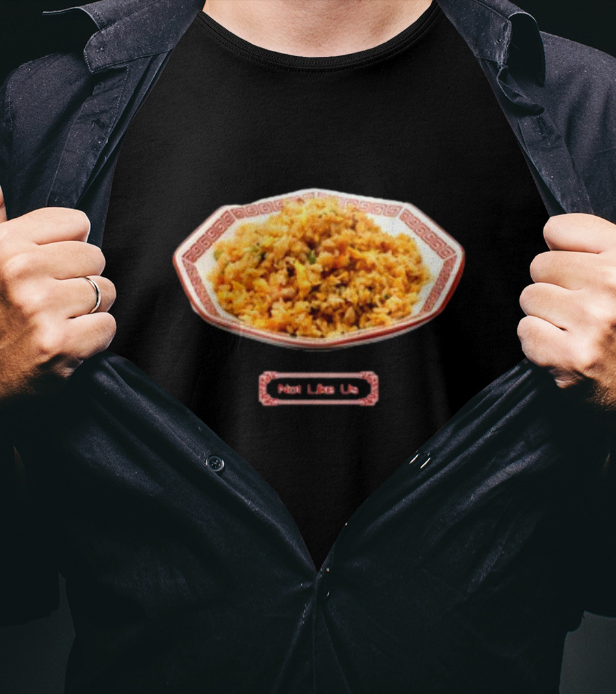 Kendrick Lamar's Not Like Us Ho King Fried Rice Chinese Food Dish T-Shirt