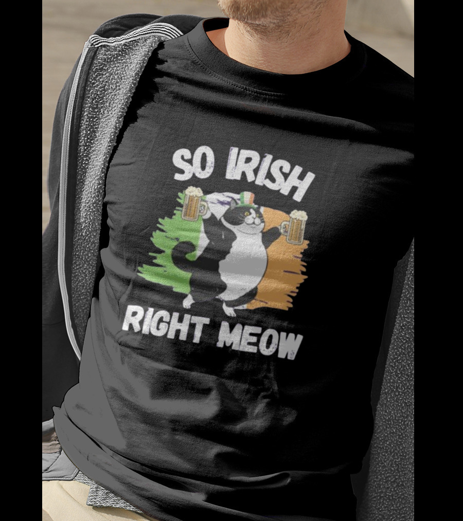 So Irish Right Meow Cat Holding Beer With Irish Flag In Background T-Shirt