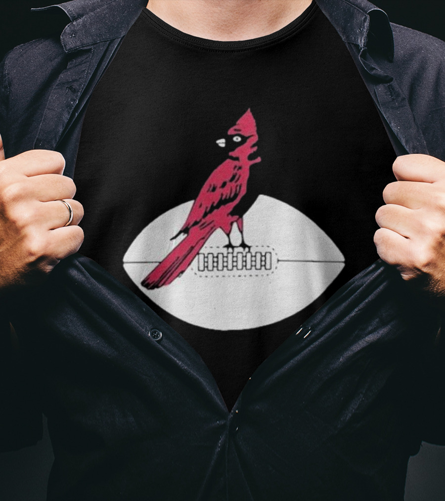 Arizona Cardinals Vintage Cardinal On Football T-Shirt