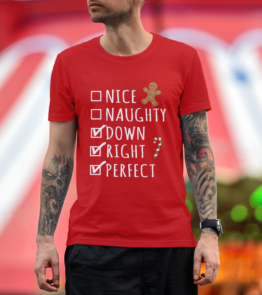 Nice Naughty Down Right Perfect Gingerbread Candy Cane Holiday Checklist T-Shirt