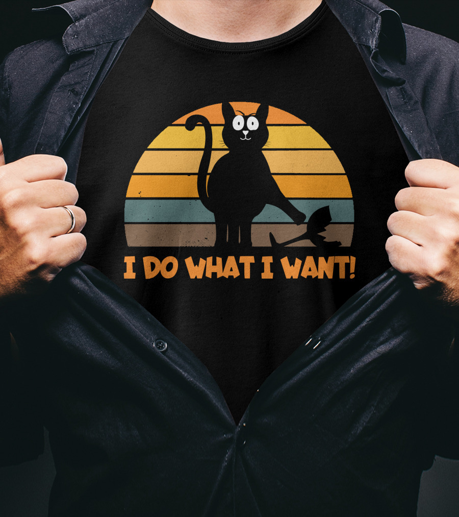 Naughty Cat Retro Sunset I Do What I Want T-Shirt