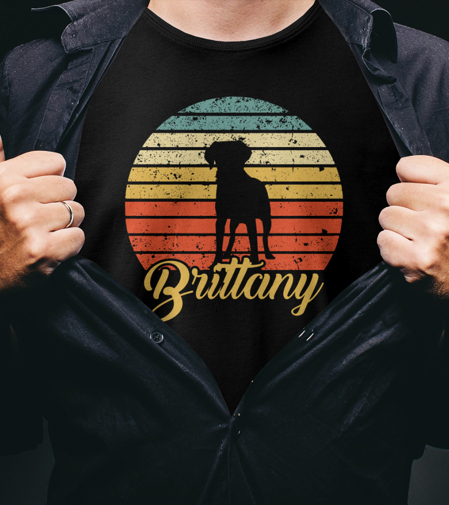 Brittany Spaniel Silhouette Retro Sunset Stripes T-Shirt