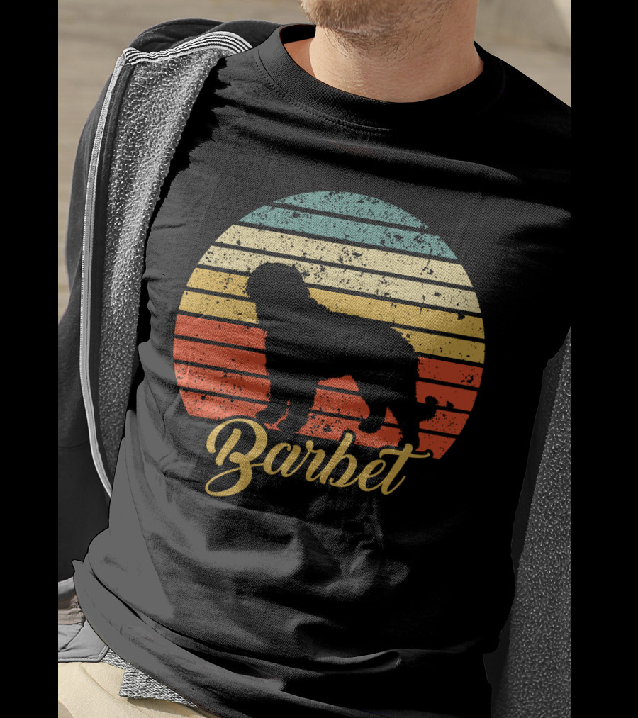 Vintage Barbet Retro Sunset T-Shirt