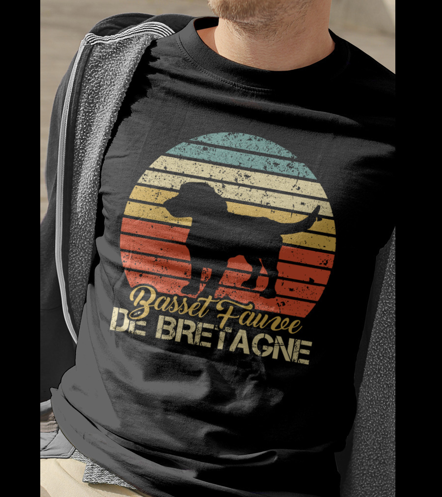 Retro Stripes Basset Fauve De Bretagne Silhouette Vintage T-Shirt