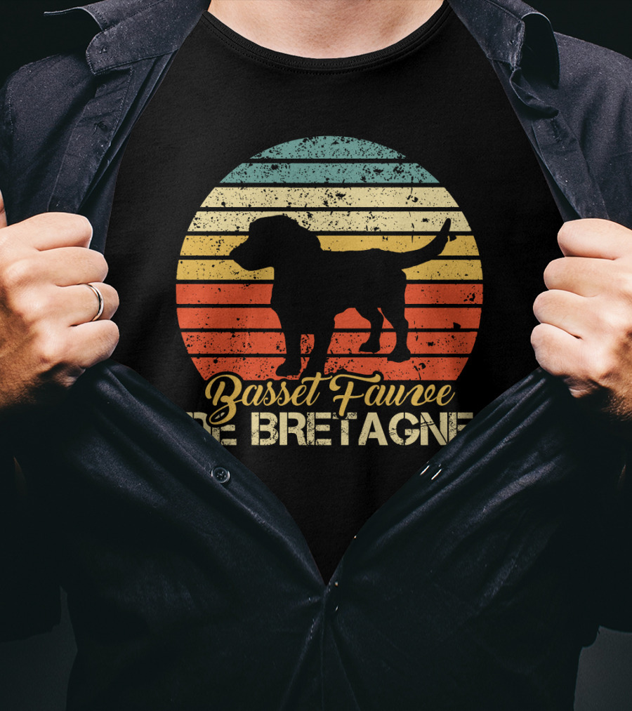 Retro Stripes Basset Fauve De Bretagne Silhouette Vintage T-Shirt