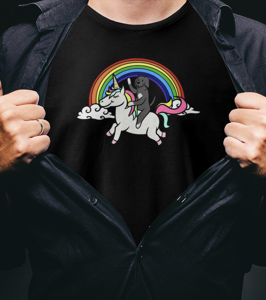 Rainbow Unicorn Adventure With Great Dane Rider T-Shirt