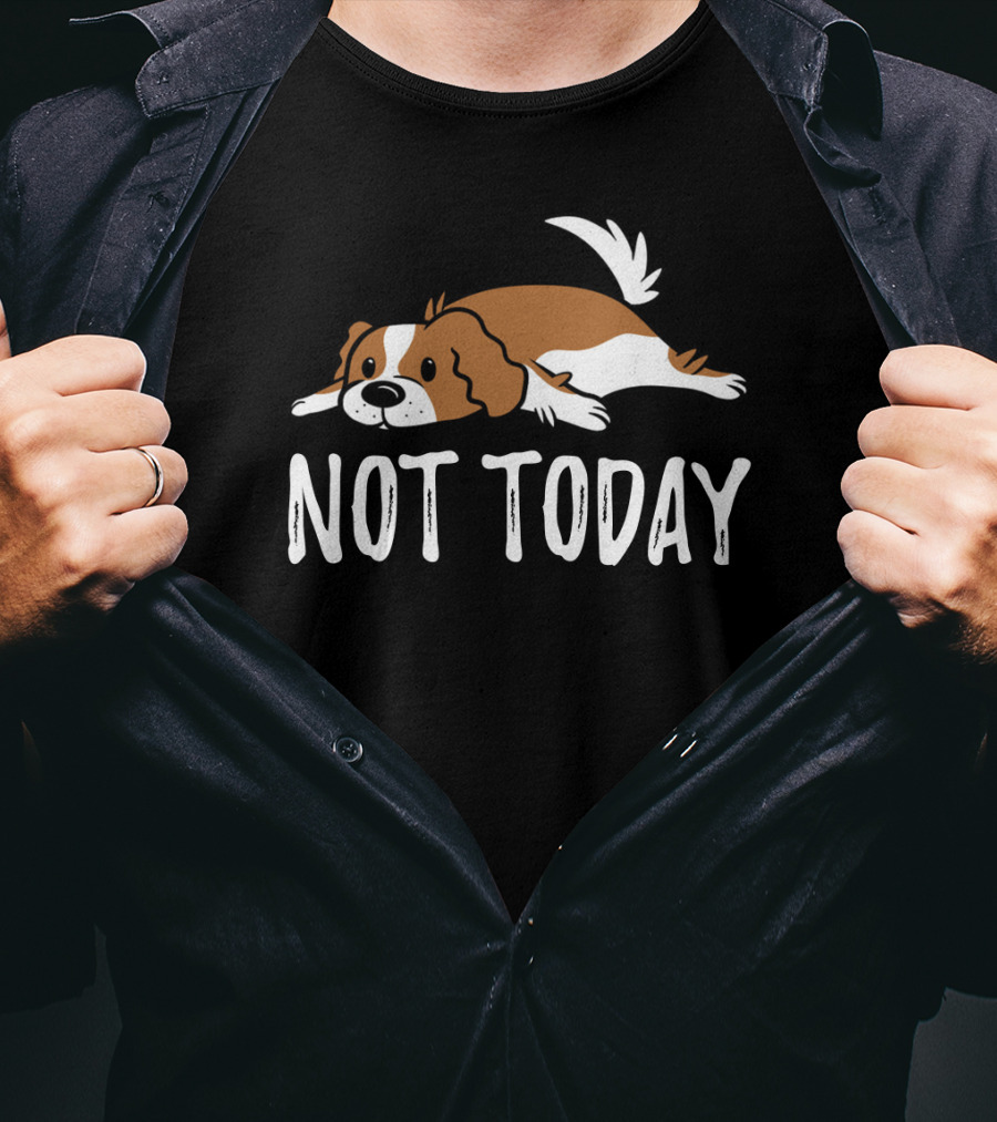 Cavalier King Charles Dog Not Today Relaxed Mood T-Shirt