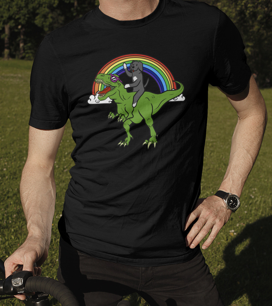 Great Dane Riding Dinosaur T-Rex With Rainbow Glasses T-Shirt