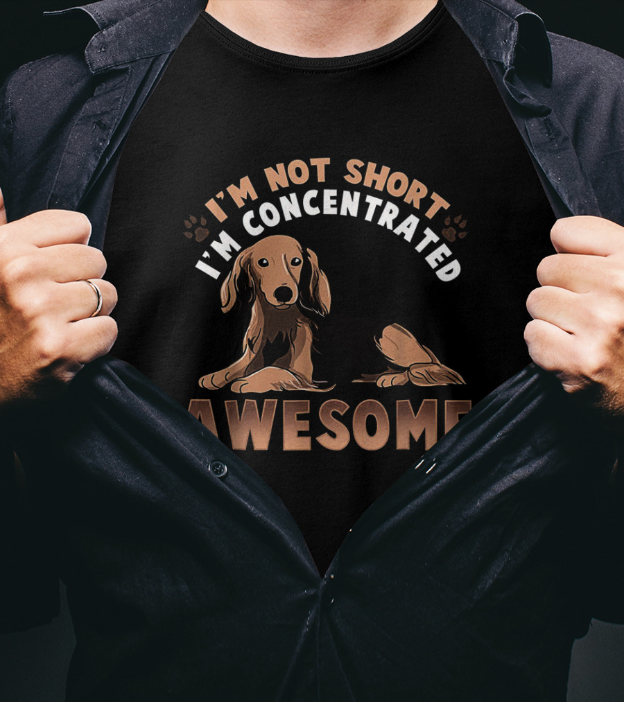 Dachshund I'm Not Short I'm Concentrated Awesome Brown Wiener Doxie Dog T-Shirt