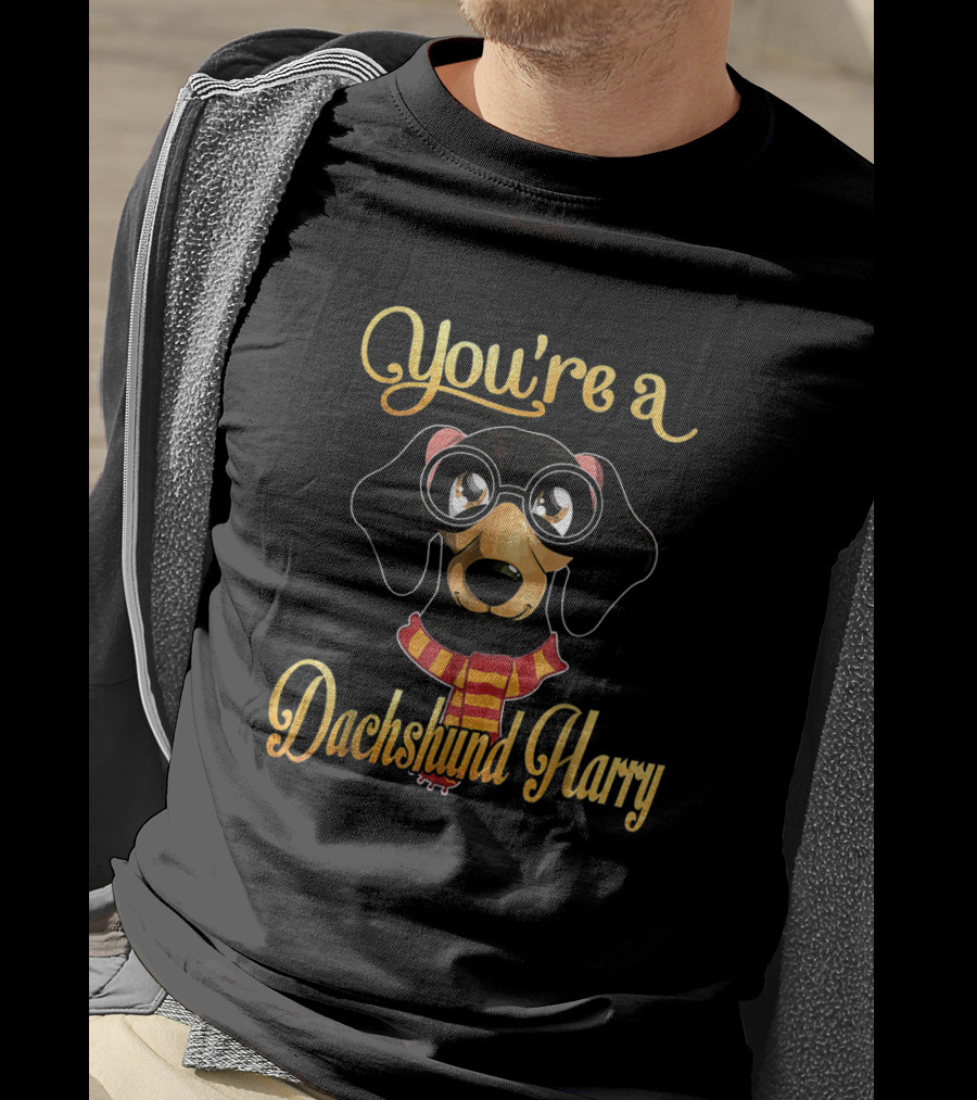 You're A Dachshund Harry Dog With Glasses And Scarf Potter T-Shirt