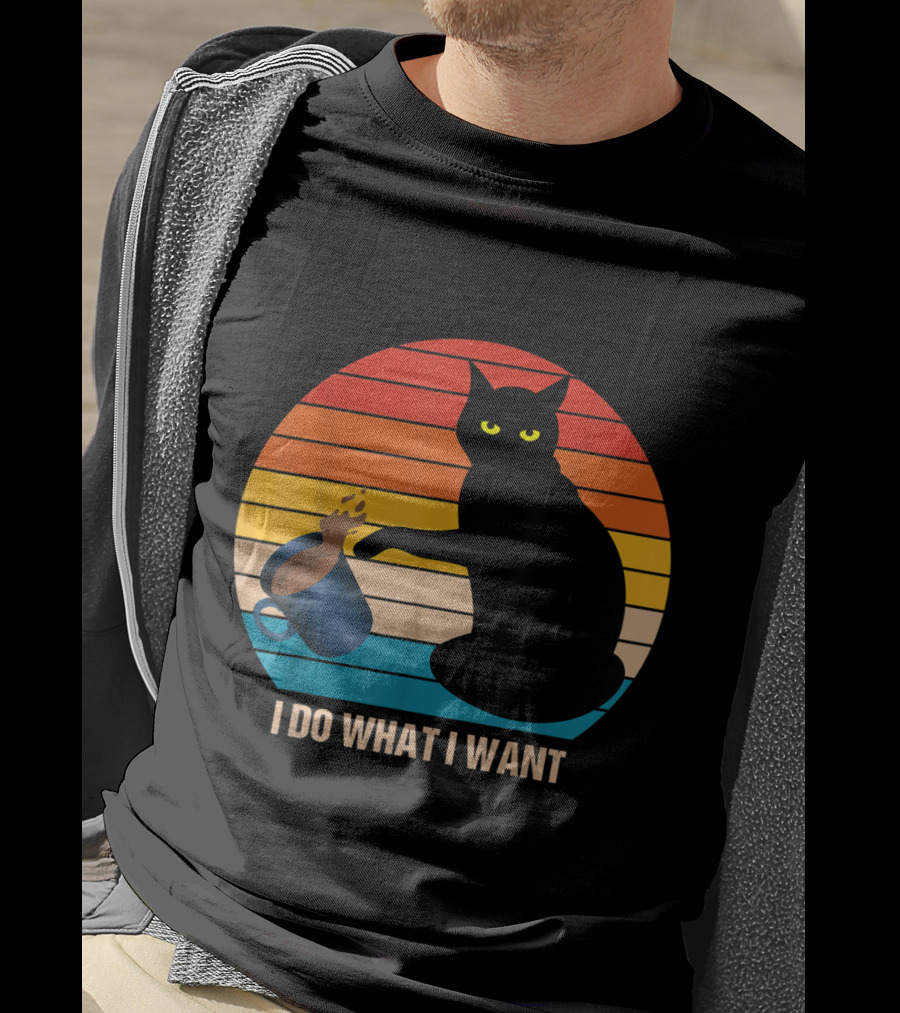 Funny Vintage Cat Do What I Want Cat Lover Retro Sunset T-Shirt
