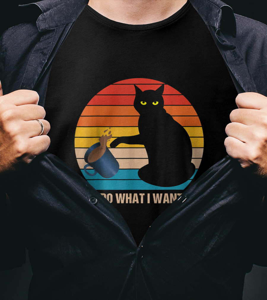 Funny Vintage Cat Do What I Want Cat Lover Retro Sunset T-Shirt