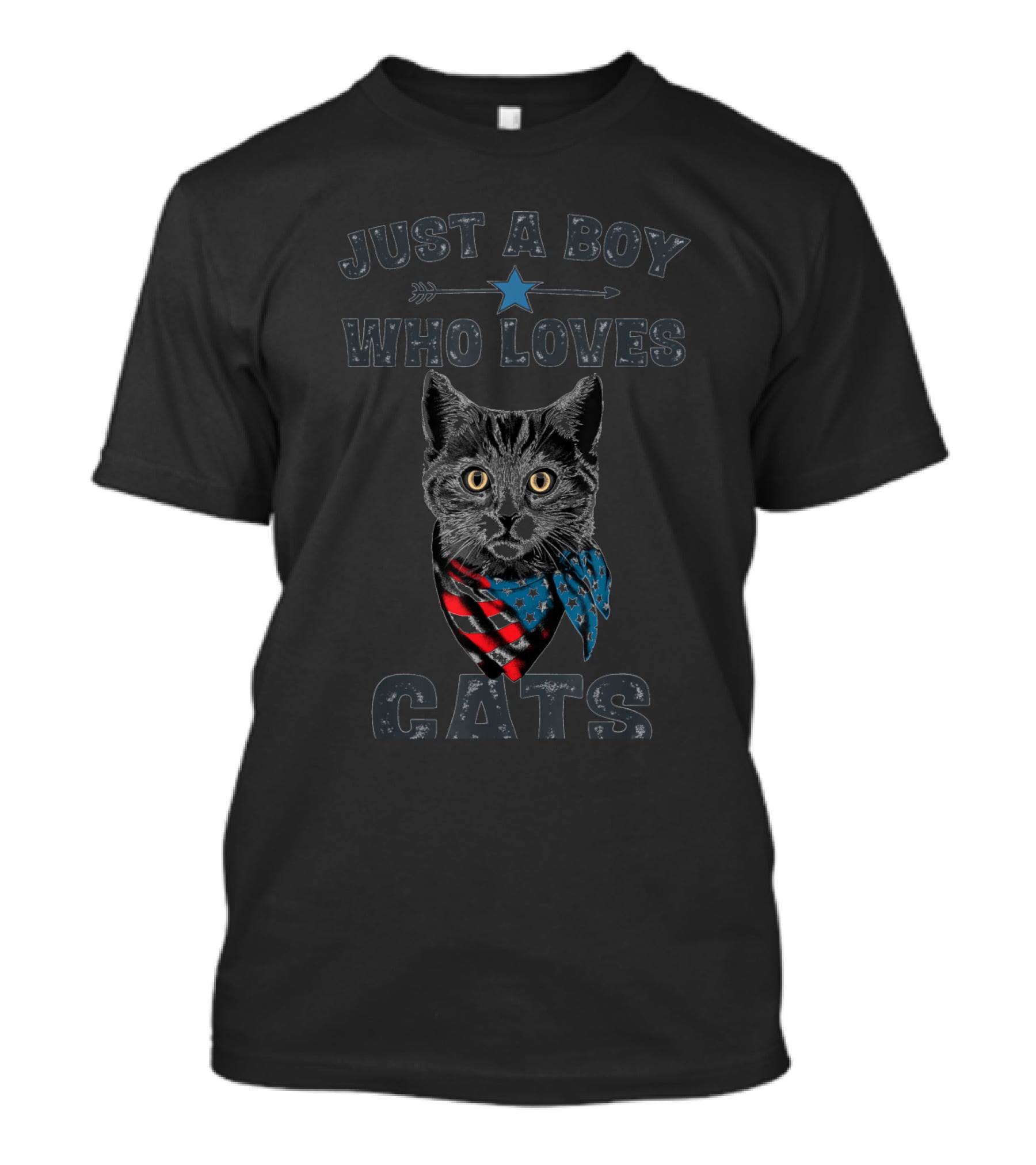 Just A Boy Who Loves Cats Patriotic Vintage Cat Lover T-Shirt