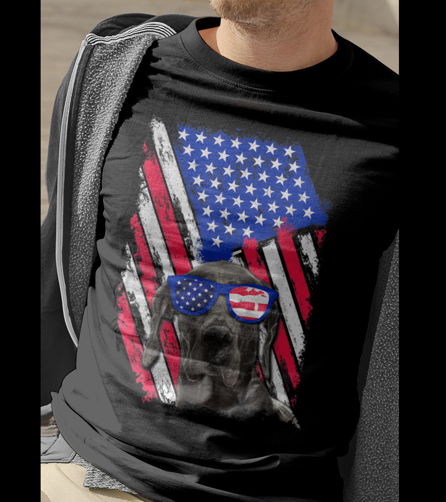 Vintage Distressed Great Dane With American USA Flag Sunglasses T-Shirt