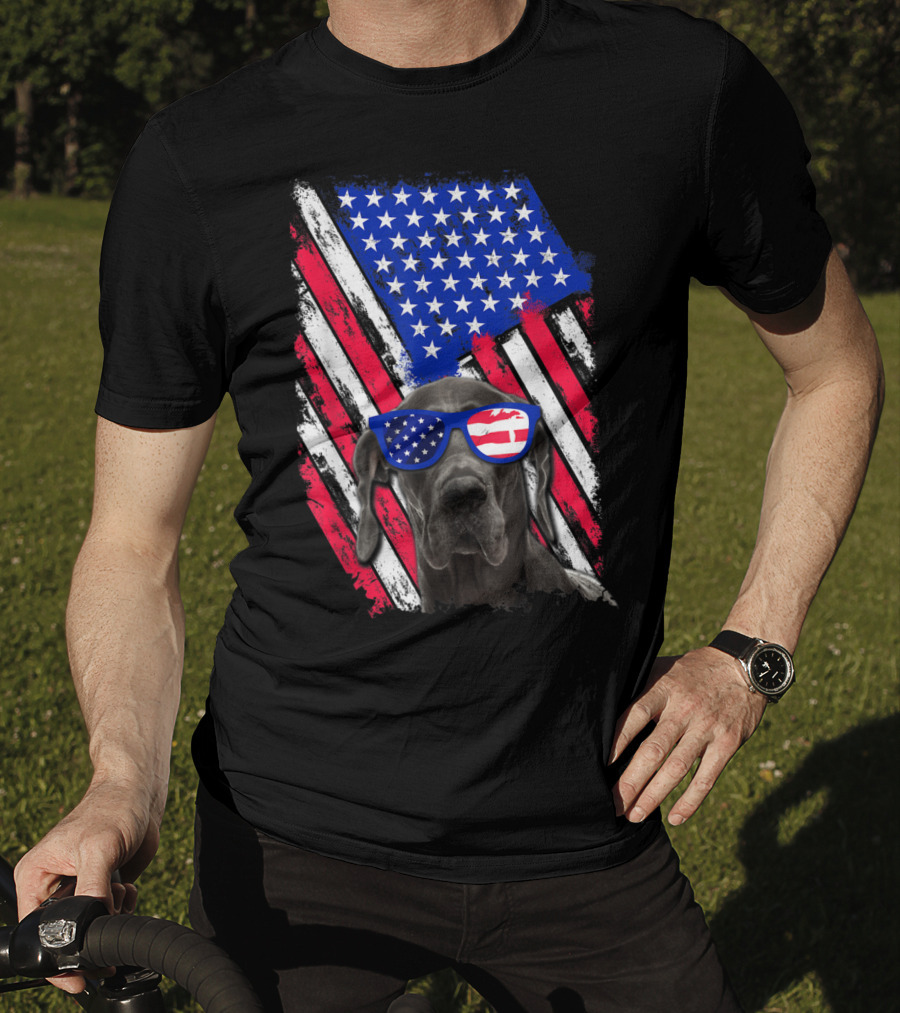 Vintage Distressed Great Dane With American USA Flag Sunglasses T-Shirt