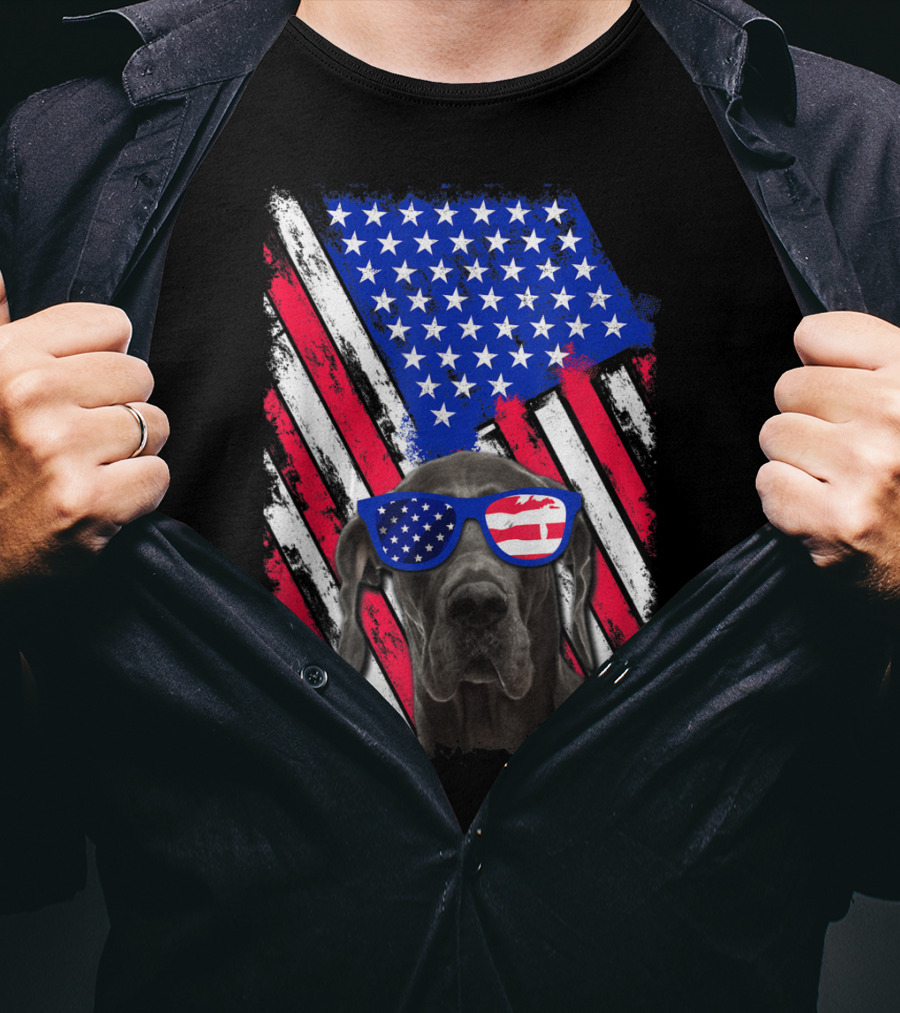 Vintage Distressed Great Dane With American USA Flag Sunglasses T-Shirt