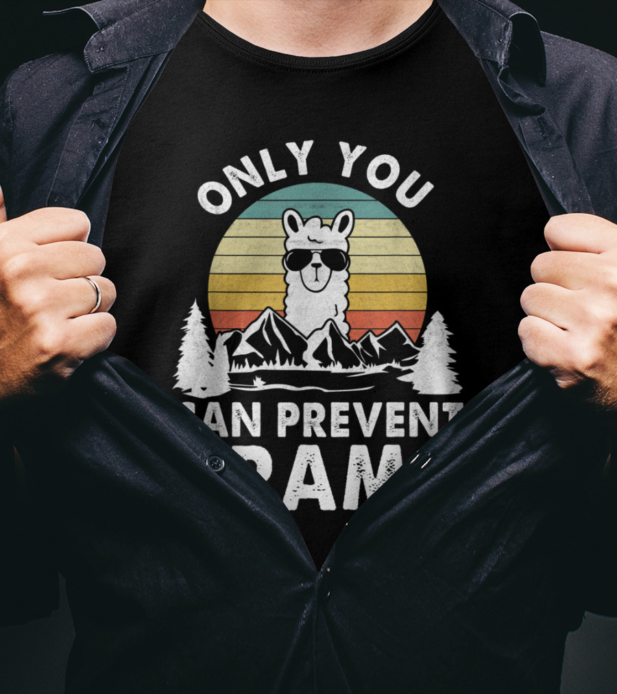 Only You Can Prevent Drama Vintage Llama Nature Camping Retro Mountains T-Shirt