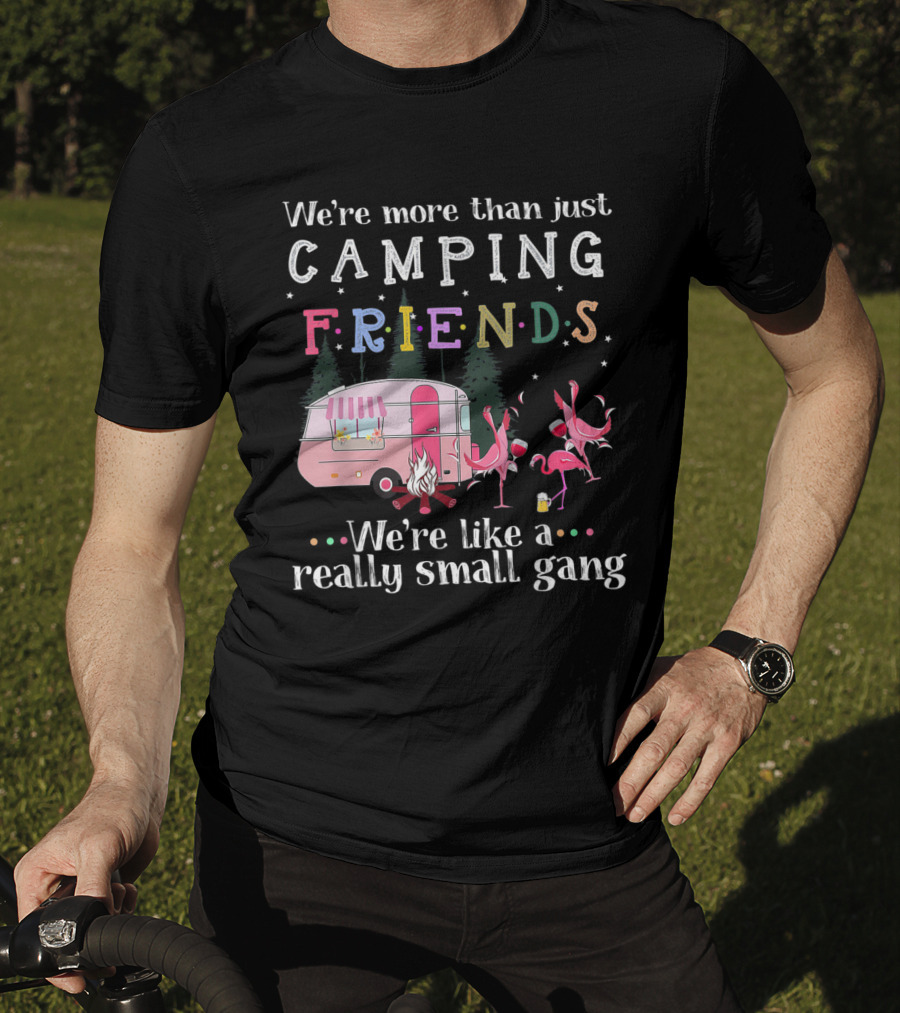 We're More Than Just Camping Friends Flamingo Like A Really Small Gang T-Shirt