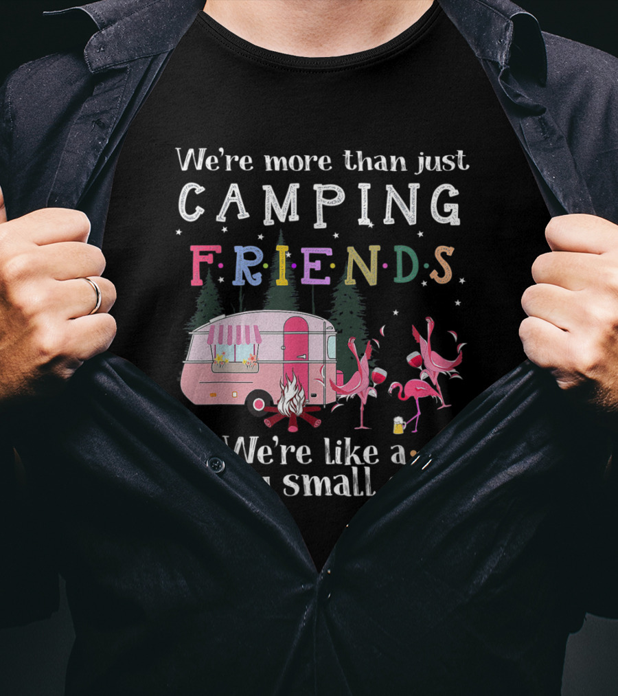 We're More Than Just Camping Friends Flamingo Like A Really Small Gang T-Shirt