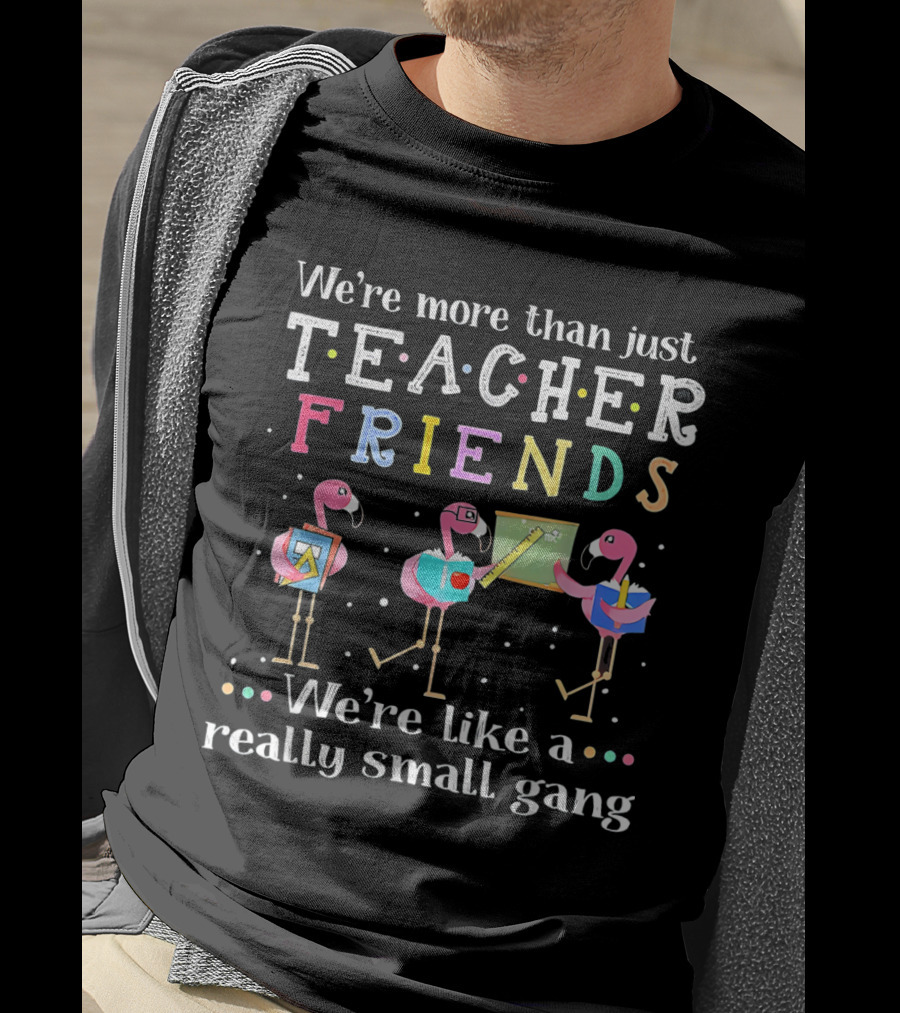 We're More Than Just Teacher Friends Flamingo Trio Like A Really Small Gang T-Shirt