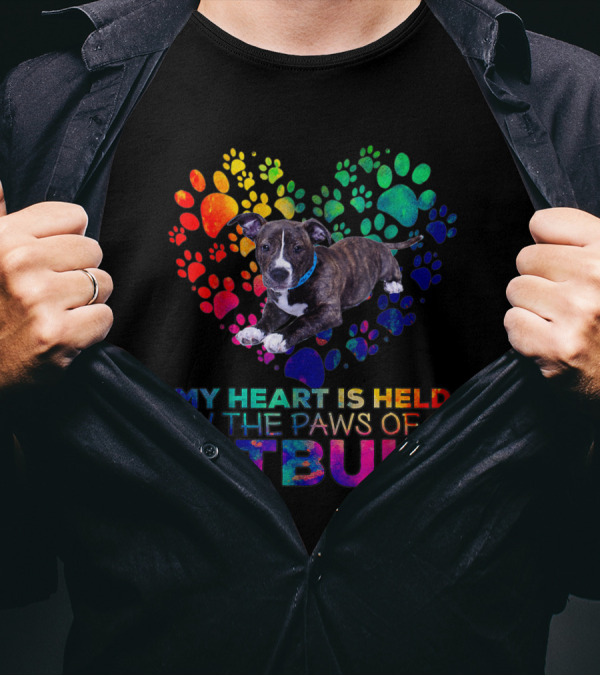 My Heart Is Held By The Rainbow Paws Of A Pitbull Dog T-Shirt
