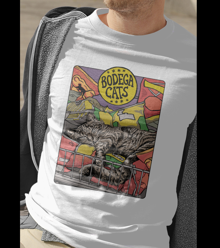 Bodega Cats Chips Grocery Aisle Nap T-Shirt