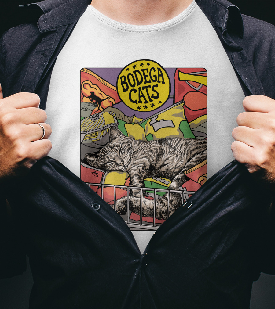 Bodega Cats Chips Grocery Aisle Nap T-Shirt