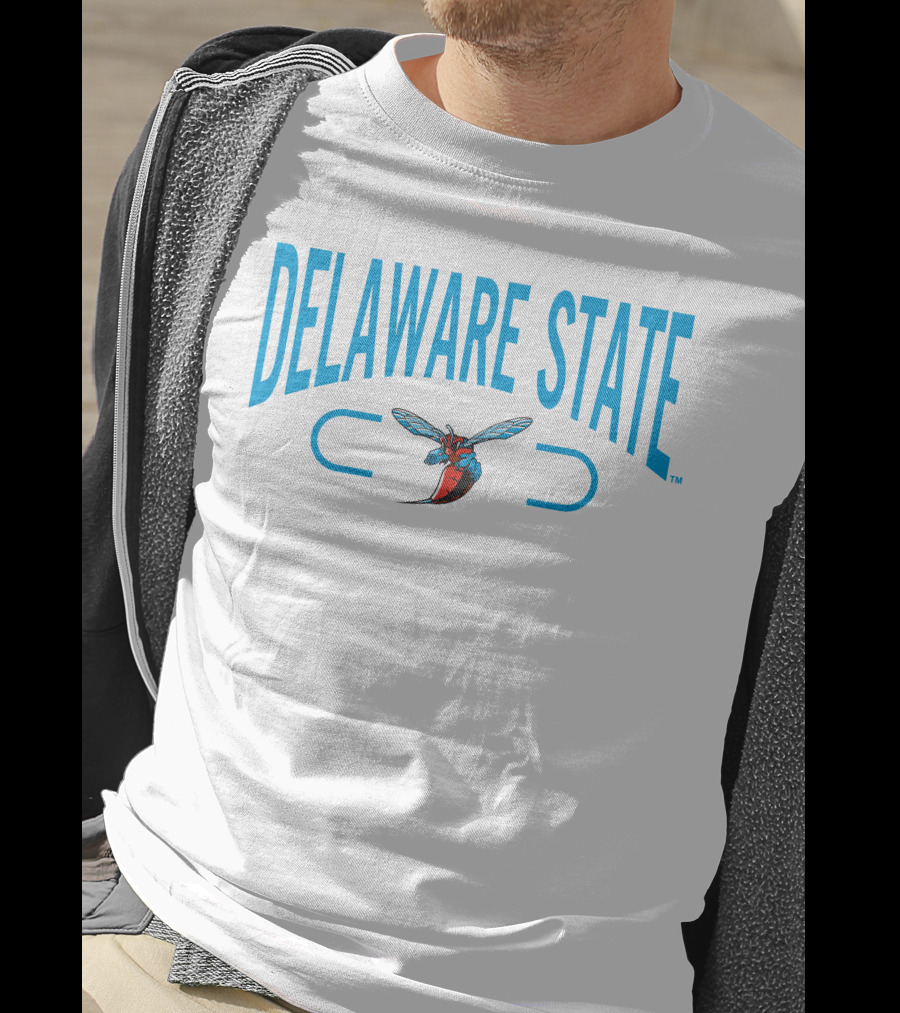 Delaware State Hornets 2.0 Champion T-Shirt