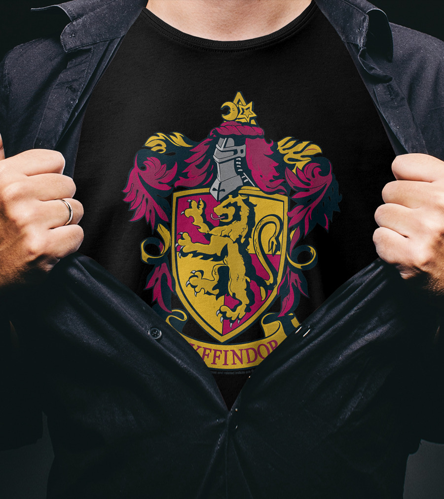 Gryffindor Only Today T-Shirt
