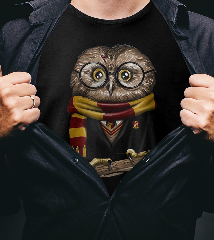 Exclusive Owl Wizard Inspired By Only Today Magic School House Colors T-Shirt