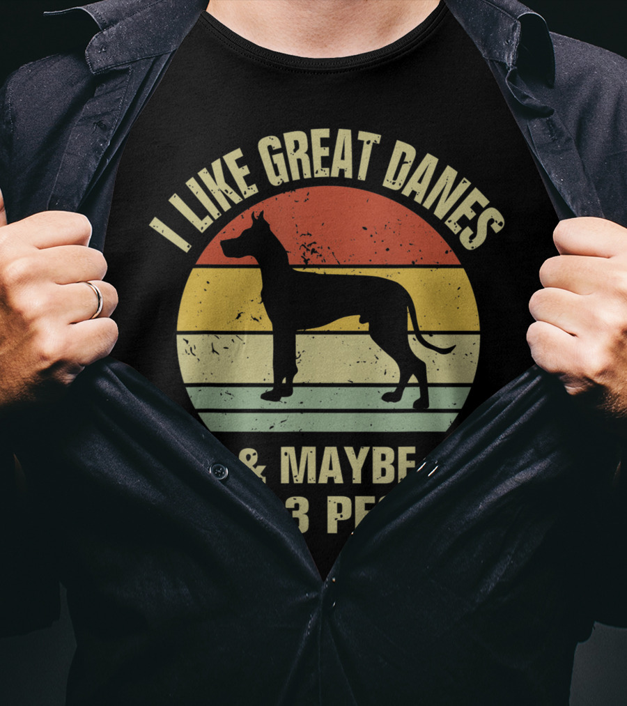 I Like Great Danes And Maybe Like 3 People Retro T-Shirt