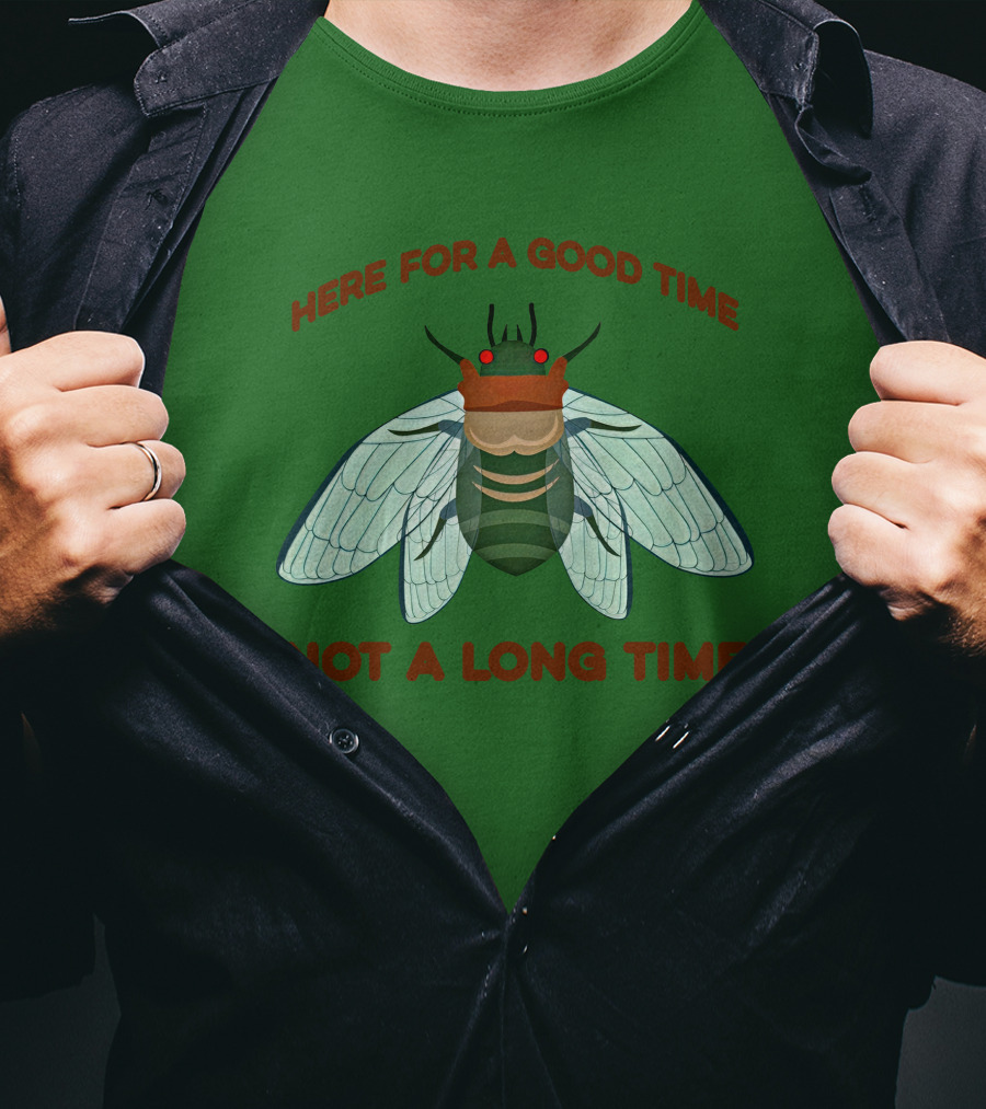Here For A Good Time Not A Long Time Cicada T-Shirt