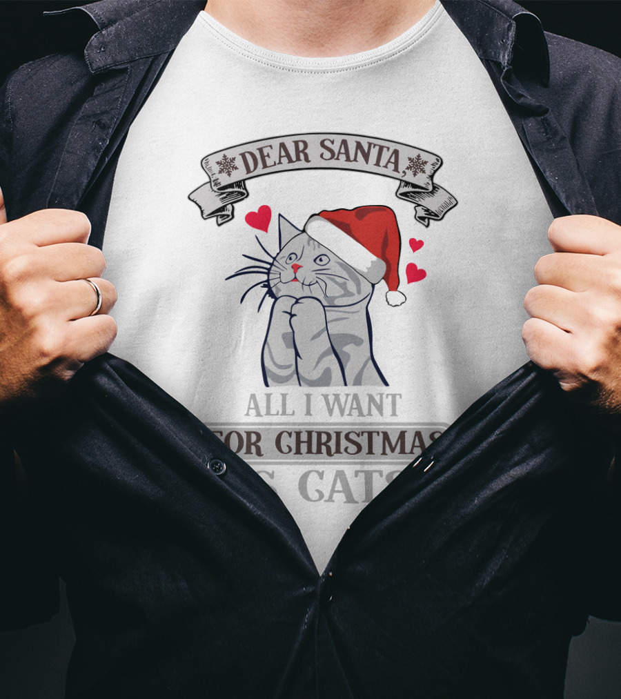 Dear Santa All I Want For Christmas Is Cats Santa Hat Heart Cat T-Shirt