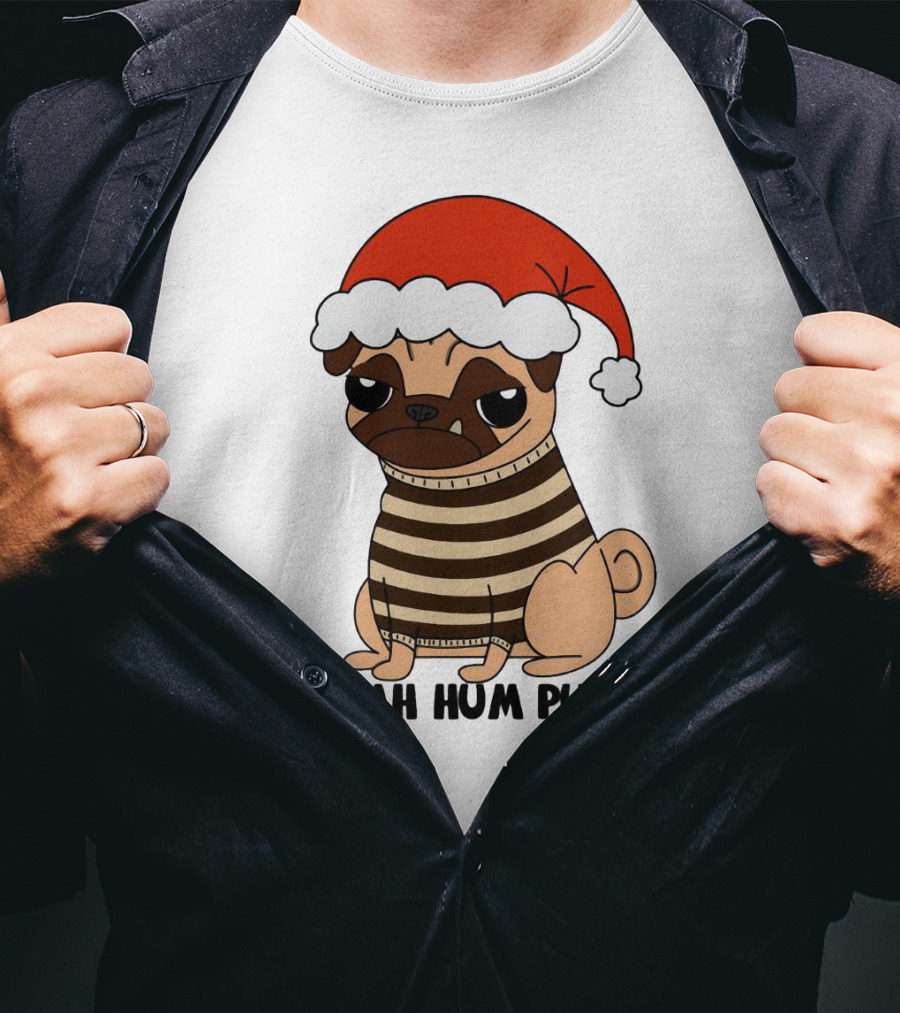 Bah Hum Pug Christmas Santa Hat Grumpy Holiday Pug Stripe T-Shirt